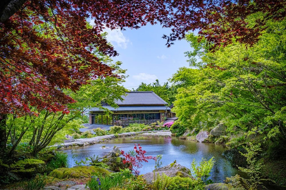 🏕️ 부겐빌레아의 숲(부겐 노 모리) 이미지 1